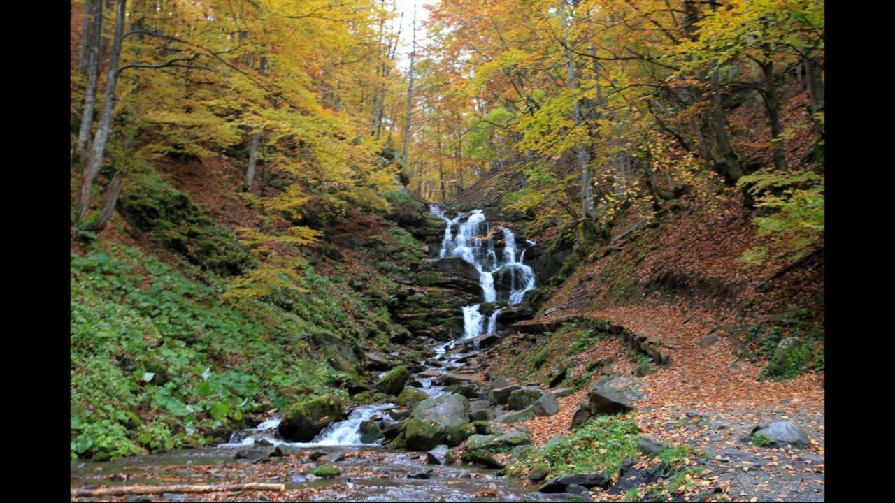 Sadyba Domashniy Zatyshok Pilipets Dış mekan fotoğraf