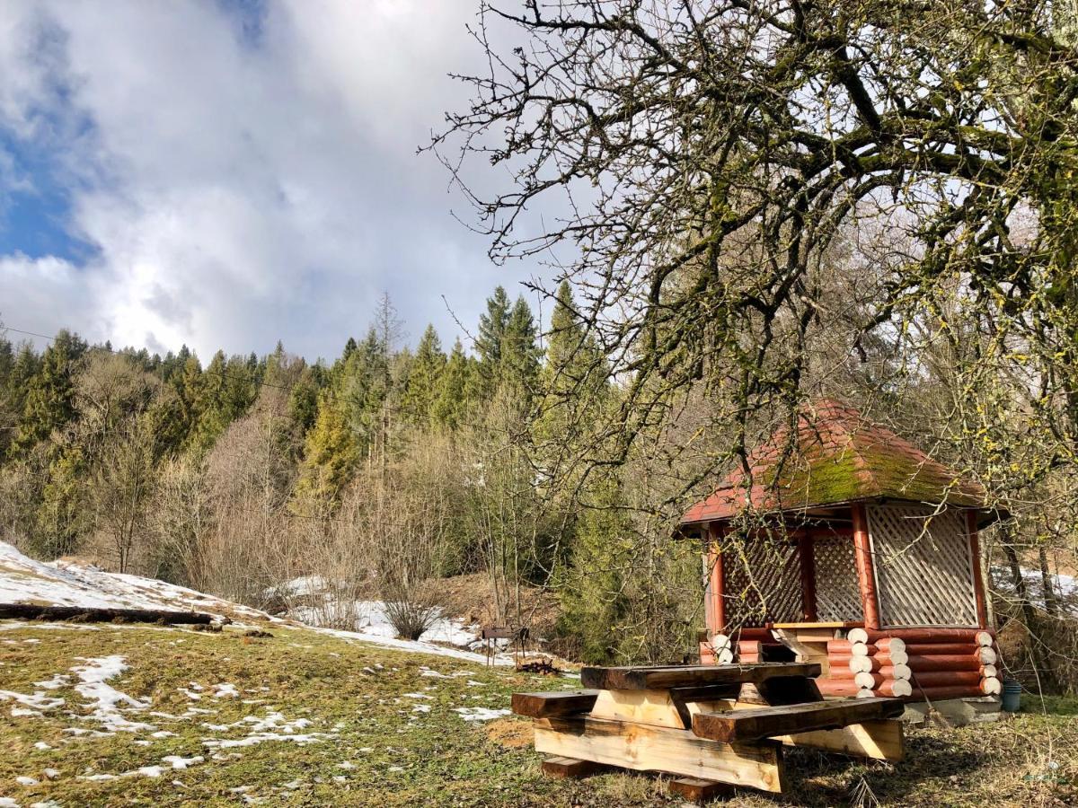 Sadyba Domashniy Zatyshok Pilipets Dış mekan fotoğraf