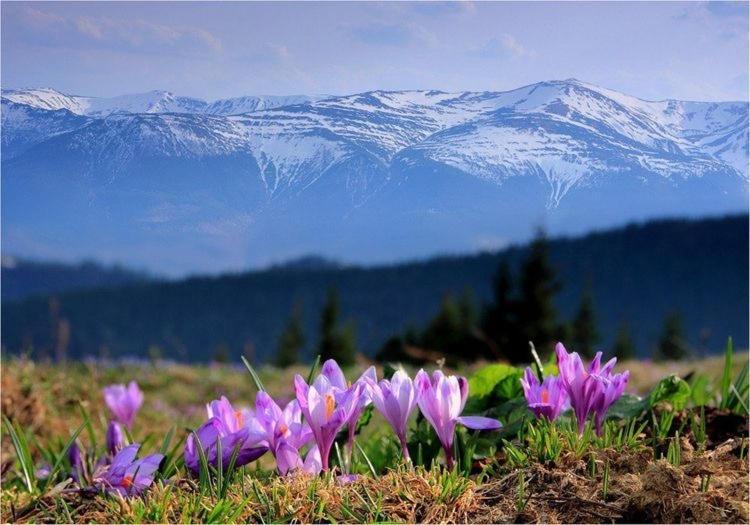 Sadyba Domashniy Zatyshok Pilipets Dış mekan fotoğraf